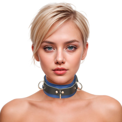 Strict Leather Deluxe Locking Collar - Blue and Black